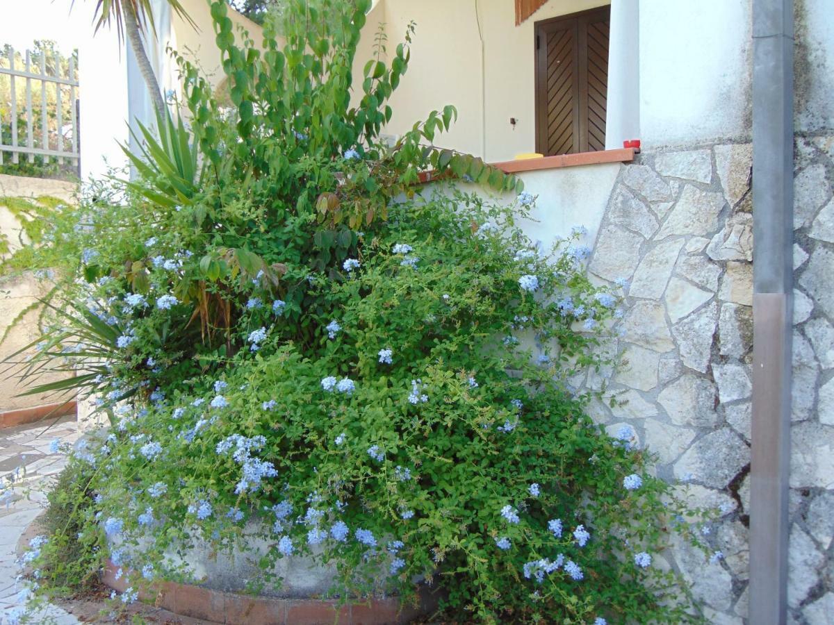 Villa Antonio Calderisi Vieste Exteriér fotografie